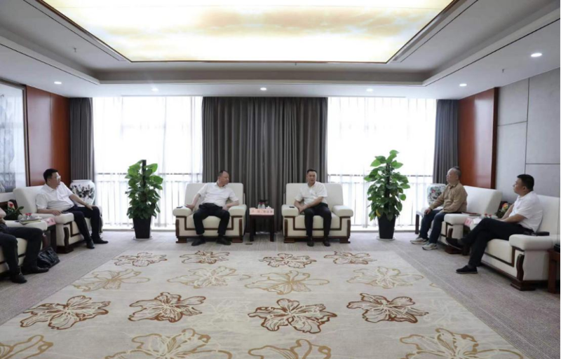 周鴻與湖南輕鹽集團黨委副書記、副董事長、總經(jīng)理李志勇舉行會談